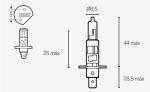 Ampoule Bihr H1 12V 55W