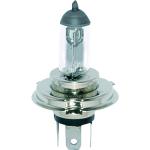 Ampoule H3 CHAFT