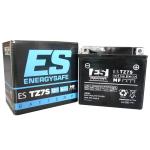 Batterie EnergySafe ESTZ7S ferme Type Acide Sans entretien/prête à l'emploi