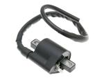 Bobine allumage 101 Octane 21020409