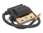 Bobine allumage 101 Octane 21020413