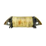 Bobine allumage P2R 160584