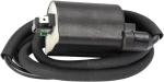 Bobine allumage Rick's Motosport Electric 21020379