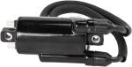 Bobine allumage Rick's Motosport Electric 21020383