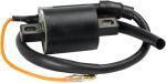 Bobine allumage Rick's Motosport Electric 21020386