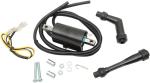 Bobine allumage Rick's Motosport Electric 21020390