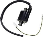 Bobine allumage Rick's Motosport Electric 21020402