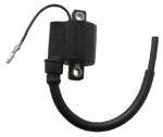 Bobine allumage SGR 161202