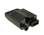 Boitier CDI 101 Octane 21010438