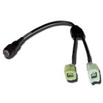 Cable de connexion diagnostique Byterd 4/6 PINMY10