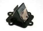 Clapets carbone B1