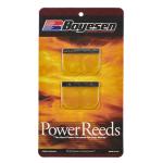 Clapets carbone Boyesen Power Reeds - 618