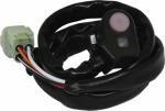 Coupe-contact RFX Bouton de démarrage Race - type OEM