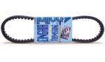 Courroie de transmission Polini 1042546