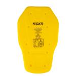 Dorsale DXR BACK PROTECTOR LEVEL 2