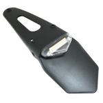 Eclairage de plaque Replay SUPPORT IMMATRICULATION FEU 50 A BOITE - MOTO SP TRANSPARENT LEDS L 328mm - H 55mm 110mm HOMOLOGUE CE