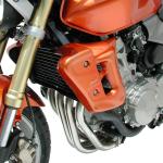 Ecopes de radiateur Ermax CB600N Hornet (1998-2002)