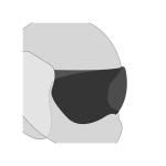 Ecran casque ROOF CRISTAL et SOLAIRE - WISPER CARBON