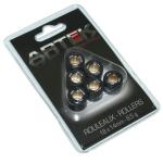 Galets de variateur Artek ROULEAU MAXISCOOTER K1 18x14 8,5g x6 SCOOTER 125