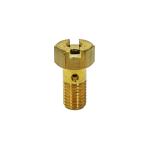 Gicleur Gurtner PRINCIPAL 52 ORIGINE GA12 - 5012 52