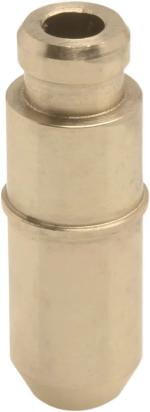 Guide de soupape Kibble White 09263098