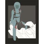 Harnais Chaft SPYDER BELT 2