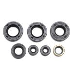 Joint spy bas moteur P2R JOINT SPI MOTEUR 50 A BOITE ADAPTABLE DERBI 50 SENDA 2006+, GPR-GILERA 50 SMT, RCR 2006+ (MOTEUR PIAGGIO EURO 3) (7 PIECES) -P2R