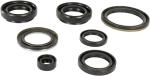 Joints spy vilebrequin Moose Racing 09350822