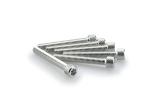 Kit Visserie Car&eacute;nage Puig En Aluminium Anodis&eacute; Argent Blister 6 vis allen M6x45mm