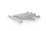 Kit Visserie Car&eacute;nage Puig En Aluminium Anodis&eacute; Argent Blister 6 vis allen M6x50mm