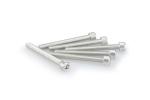 Kit Visserie Car&eacute;nage Puig En Aluminium Anodis&eacute; Argent Blister 6 vis allen M6x55mm