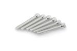 Kit Visserie Car&eacute;nage Puig En Aluminium Anodis&eacute; Argent Blister 6 vis allen M8x55mm