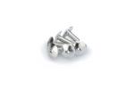 Kit Visserie Car&eacute;nage Puig En Aluminium Anodis&eacute; Argent Blister 6 vis bomb&eacute; M6x15mm