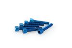 Kit Visserie Car&eacute;nage Puig En Aluminium Anodis&eacute; Bleu Blister 6 vis allen M6x30mm