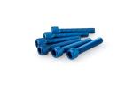 Kit Visserie Car&eacute;nage Puig En Aluminium Anodis&eacute; Bleu Blister 6 vis allen M6x35mm