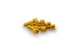 Kit Visserie Car&eacute;nage Puig En Aluminium Anodis&eacute; Jaune Blister 6 vis allen M6x20mm