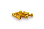 Kit Visserie Car&eacute;nage Puig En Aluminium Anodis&eacute; Jaune Blister 6 vis allen M6x25mm