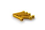 Kit Visserie Car&eacute;nage Puig En Aluminium Anodis&eacute; Jaune Blister 6 vis allen M6x30mm