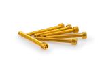 Kit Visserie Car&eacute;nage Puig En Aluminium Anodis&eacute; Jaune Blister 6 vis allen M6x50mm