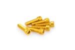 Kit Visserie Car&eacute;nage Puig En Aluminium Anodis&eacute; Jaune Blister 6 vis allen M8x30mm