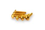 Kit Visserie Car&eacute;nage Puig En Aluminium Anodis&eacute; Jaune Blister 6 vis bomb&eacute; M5x25mm