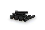 Kit Visserie Car&eacute;nage Puig En Aluminium Anodis&eacute; Noire Blister 6 vis allen M6x25mm