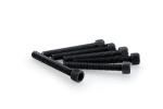 Kit Visserie Car&eacute;nage Puig En Aluminium Anodis&eacute; Noire Blister 6 vis allen M6x45mm