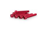 Kit Visserie Car&eacute;nage Puig En Aluminium Anodis&eacute; Rouge Blister 6 vis allen M6x35mm