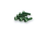 Kit Visserie Car&eacute;nage Puig En Aluminium Anodis&eacute; Vert Blister 6 vis allen M5x15mm