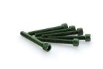 Kit Visserie Car&eacute;nage Puig En Aluminium Anodis&eacute; Vert Blister 6 vis allen M6x45mm