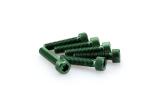 Kit Visserie Car&eacute;nage Puig En Aluminium Anodis&eacute; Vert Blister 6 vis allen M8x35mm