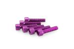 Kit Visserie Car&eacute;nage Puig En Aluminium Anodis&eacute; Violet Blister 6 vis allen M6x25mm