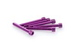 Kit Visserie Car&eacute;nage Puig En Aluminium Anodis&eacute; Violet Blister 6 vis allen M6x50mm