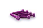 Kit Visserie Car&eacute;nage Puig En Aluminium Anodis&eacute; Violet Blister 6 vis allen M8x35mm